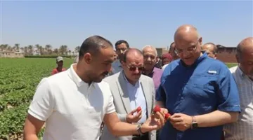 محافظ القليوبية يزور مزرعة فراولة تعتمد أساليب الزراعة الحديثة وتقنيات الري في قرية ميت كنانة بمركز طوخ.