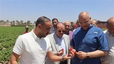 محافظ القليوبية يزور مزرعة فراولة تعتمد أساليب الزراعة الحديثة وتقنيات الري في قرية ميت كنانة بمركز طوخ.