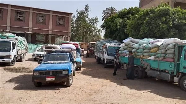 محافظ المنيا: استلام 390 ألف طن من القمح في صوامع المحافظة محافظ المنيا: استلام 390 ألف طن من القمح في صوامع المحافظة