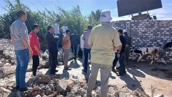 إزالة عاجلة لانتهاك على أرض زراعية في كفر البطيخ إزالة عاجلة لانتهاك على أرض زراعية في كفر البطيخ