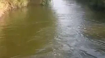 وفاة طفل غرقًا في ترعة بورسعيد بالقنطرة غرب الإسماعيلية