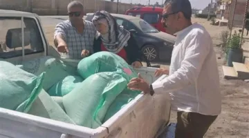 تفاصيل ضبط 500 كيلوجرام من الدقيق المدعوم المحظور في أسواق المنوفية