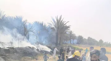حريق يدمر 5 بساتين في غرب الديوانية