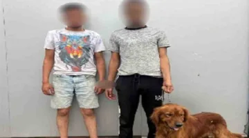 إلقاء القبض على المتورطين في حادثة احتجاز شخص وتهديده بواسطة «كلب» في السلام