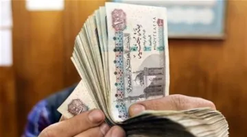 700 جنيه: اكتشف قيمة الحافز الإضافي لموظفي الدولة حسب القانون الجديد