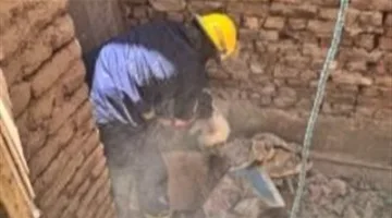 استجابة سريعة.. فرق الحماية المدنية في الفيوم تنقذ قطتين محاصرتين داخل منور مبنى سكني