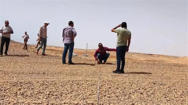 محافظ أسوان يعلن عن تدابير جديدة لتأمين إمدادات أسطوانات الغاز. محافظ أسوان يعلن عن تدابير جديدة لتأمين إمدادات أسطوانات الغاز.