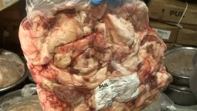 ضبط 12 طنًا و375 كجم من اللحوم ومشتقاتها غير الصالحة للاستخدام في الدقهلية ضبط 12 طنًا و375 كجم من اللحوم ومشتقاتها غير الصالحة للاستخدام في الدقهلية