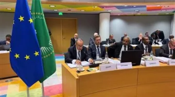 وزير الخارجية: ضرورة تعزيز التعاون بين الاتحادين الأوروبي والإفريقي لمواجهة الإرهاب وتعزيز الأمن البحري