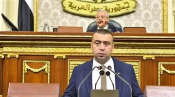 النائب أحمد بهاء شلبي: تعديل قوانين الانتخابات يمثل استثمارًا في مستقبل الديمقراطية والعدالة الاجتماعية.