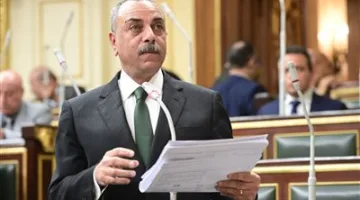 الطماوي: تعديل قوانين مجلسي النواب والشيوخ يهدف إلى ضمان استمرار الالتزام بالدستور
