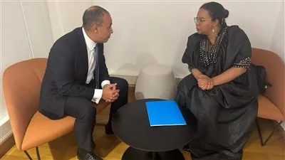 وزير الخارجية: نخطط لتأسيس قسم مصري مختص بجراحة القلب في مستشفى كينشاسا العام في جمهورية الكونغو. وزير الخارجية: نخطط لتأسيس قسم مصري مختص بجراحة القلب في مستشفى كينشاسا العام في جمهورية الكونغو.