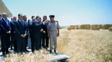 الرئيس السيسي يشارك في احتفالات حصاد القمح لعام 2025