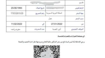 لتبسيط الإجراءات الحكومية: خطوات الحصول على تصريح السفر الإلكتروني لعام 2025