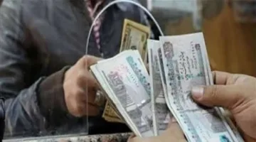 كيفية الحصول على مساعدة مالية شهرية من وزارة التضامن الاجتماعي: الخطوات والمتطلبات