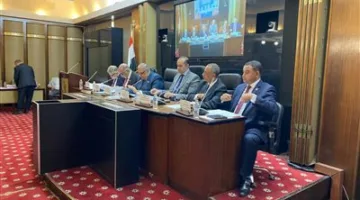الوزير محمود فوزي: الحكومة تُعلن تأييدها لمشروع قانون انتخابات مجلس النواب