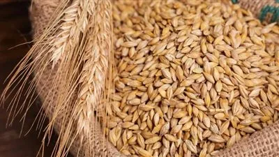أسعار الأرز والمواد الغذائية الأساسية في الأسواق المصرية أسعار الأرز والمواد الغذائية الأساسية في الأسواق المصرية