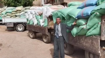 محافظ المنيا: استلام 408 آلاف طن من القمح في صوامع المحافظة