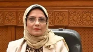 نجلا العسيلي: خطوات الرئيس السيسي في أزمة البنزين المغشوش تمثل «ضربة قاضية» للفساد