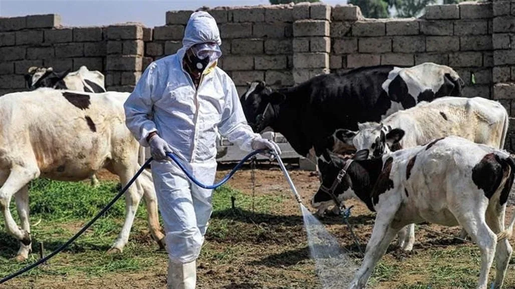 تسجيل حالة إصابة جديدة بالحمى النزفية في محافظة واسط