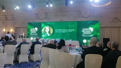 قيادي في “المؤتمر”: “أفريقيا تزدهر بيئياً” كمنصة استراتيجية لدعم التمويل المناخي وتشجيع الاستثمارات المستدامة قيادي في “المؤتمر”: “أفريقيا تزدهر بيئياً” كمنصة استراتيجية لدعم التمويل المناخي وتشجيع الاستثمارات المستدامة