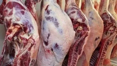 وزير الزراعة: نقدم لحومًا بأسعار تقل عن السوق بمقدار 10 إلى 15 جنيه قبل عيد الأضحى وزير الزراعة: نقدم لحومًا بأسعار تقل عن السوق بمقدار 10 إلى 15 جنيه قبل عيد الأضحى