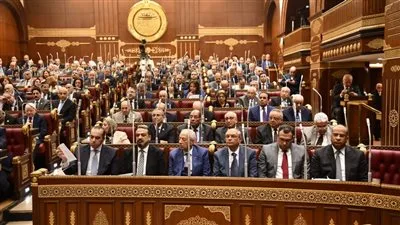 وكيل لجنة الشؤون التشريعية بمجلس الشيوخ يقدم تقريراً حول تعديل قانون انتخابات الغرفة الثانية لعام 2025. وكيل لجنة الشؤون التشريعية بمجلس الشيوخ يقدم تقريراً حول تعديل قانون انتخابات الغرفة الثانية لعام 2025.