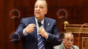 عضو برلماني يطالب بزيادة نسبة تمثيل النساء في البرلمان إلى 50%.. والحكومة: القرار بأيديكم