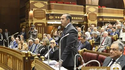 فوزي: مشروع قانون الشيوخ يعزز مبدأ حرية المرشحين في اختيار دوائرهم الانتخابية فوزي: مشروع قانون الشيوخ يعزز مبدأ حرية المرشحين في اختيار دوائرهم الانتخابية