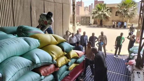 محافظ الدقهلية: تسليم 250 ألف طن من القمح المحلي في مراكز التوريد منذ بدء الموسم محافظ الدقهلية: تسليم 250 ألف طن من القمح المحلي في مراكز التوريد منذ بدء الموسم