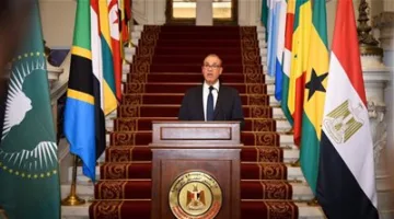 وزير الخارجية: تبرز الأجندة الإفريقية كأهم أولويات السياسة الخارجية المصرية.