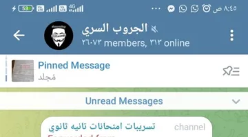 شاومينج يوزع أسئلة وإجابات “اختبار اللغة الإنجليزية” في المطرية والمرج وعين شمس بعد توزيعها