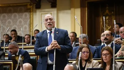 القصبي: مشروع قانون النواب يوازن بين العدالة العددية والتماسك الجغرافي والاحترام الدستوري