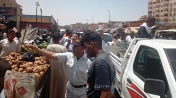إزالة الأكشاك غير القانونية في ترعة كاسل وتنظيف منطقة كوم أمبو