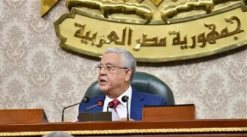 30 ألف جنيه كضمان للفرد.. البرلمان يوافق على متطلبات الترشح للانتخابات