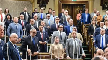 نص التعديلات على قانون مجلس الشيوخ بعد موافقة البرلمان في 2025