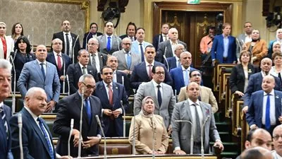 نص التعديلات على قانون مجلس الشيوخ بعد موافقة البرلمان في 2025 نص التعديلات على قانون مجلس الشيوخ بعد موافقة البرلمان في 2025