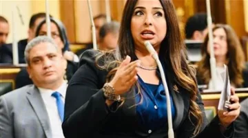 نشوى الشريف، نائبة التنسيقية، تُثني على القائمة المطلقة وتؤكد أنها تعكس تمثيلاً حقيقياً للمرأة والشباب والمناطق الحدودية.