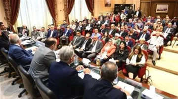 مصدر سياسي لـ “تحيا مصر”: قانون الإيجار القديم لن يضر المستأجرين، والبرلمان سيتأكد من توفير سكن بديل لكل مواطن.