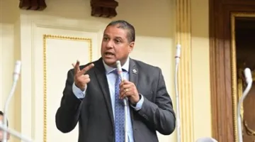 نائب التنسيقية محمد إسماعيل: قانون تقسيم الدوائر إنجاز يمثل إضافة جديدة للبرلمان ويعزز شرعية المجلس قانونياً.