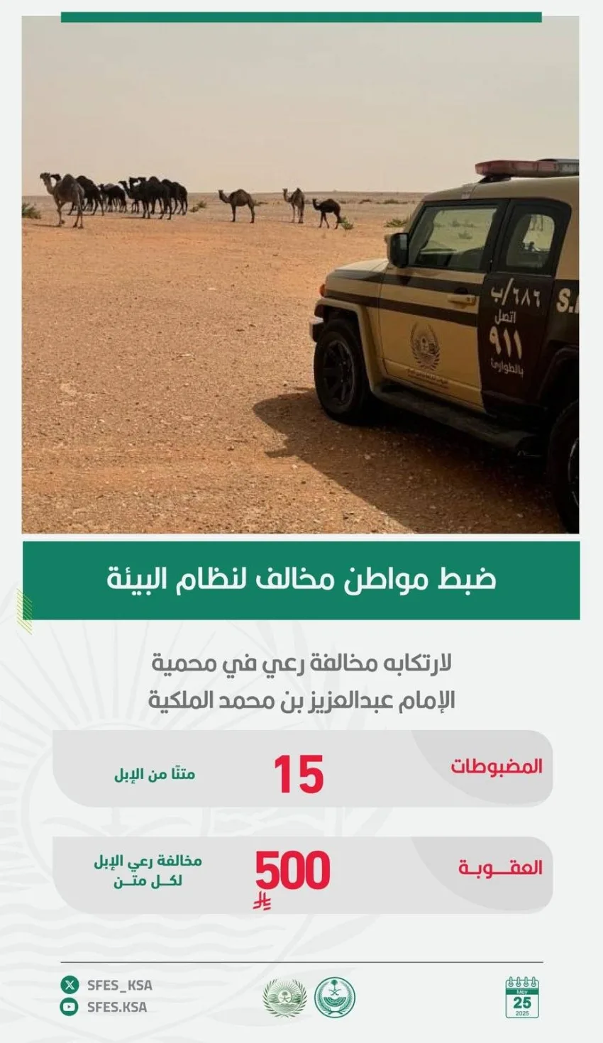 إلقاء القبض على مواطن انتهك قوانين البيئة من خلال الرعي في محمية. إلقاء القبض على مواطن انتهك قوانين البيئة من خلال الرعي في محمية.