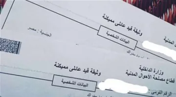 خطوات سريعة للحصول على قيد عائلي عبر الإنترنت بكل يُسر