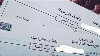 خطوات سريعة للحصول على قيد عائلي عبر الإنترنت بكل يُسر خطوات سريعة للحصول على قيد عائلي عبر الإنترنت بكل يُسر