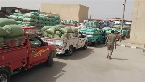 محافظ المنيا: تم تسليم أكثر من 442 ألف طن من القمح حتى اللحظة محافظ المنيا: تم تسليم أكثر من 442 ألف طن من القمح حتى اللحظة
