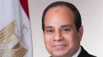 تفاصيل اجتماع “السيسي” مع وفد رجال الأعمال الأمريكيين في إطار المنتدى الاقتصادي المصري الأمريكي