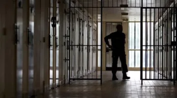 من خلال تواصل.. وزارة العدل تكشف عن أحدث إحصائية للمفرج عنهم بموجب قانون العفو العام