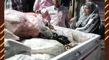 ضبط 25 طنًا من اللحوم والهياكل الفاسدة في الجيزة