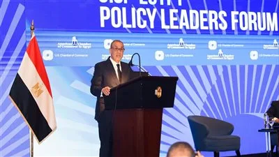 وزير الخارجية: عودة الملاحة المنتظمة في البحر الأحمر وقناة السويس تعزز الاقتصاد العالمي وزير الخارجية: عودة الملاحة المنتظمة في البحر الأحمر وقناة السويس تعزز الاقتصاد العالمي