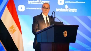وزير الخارجية يساهم في المنتدى الاقتصادي بين مصر والولايات المتحدة
