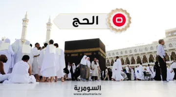 السعودية تُسجل عدد الحجاج الوافدين من الخارج